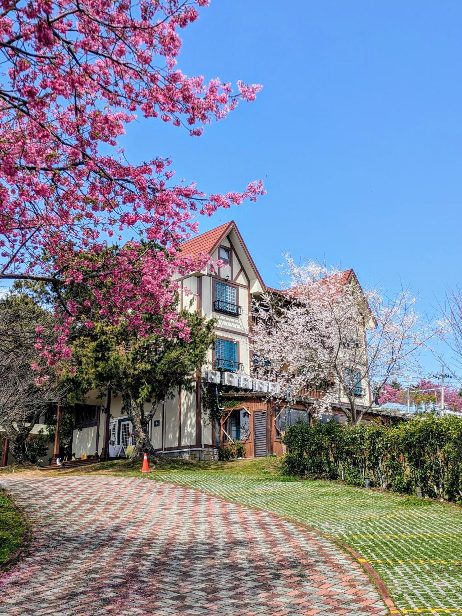清境 百里莊園 Baili Manor Cing Jing Apartment เหรินอ้าย ภายนอก รูปภาพ